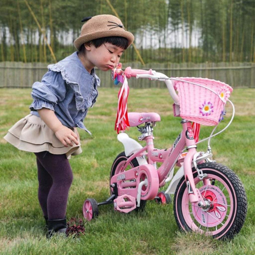 JLFSDB Kids Bike BMX Bike for Kids Boys Girls Bicycle Princess Kid Bike 12 14 16 18 inch, Connect Assembly & Regular Assembly with Training Wheels, Pink (Size : 18inch)