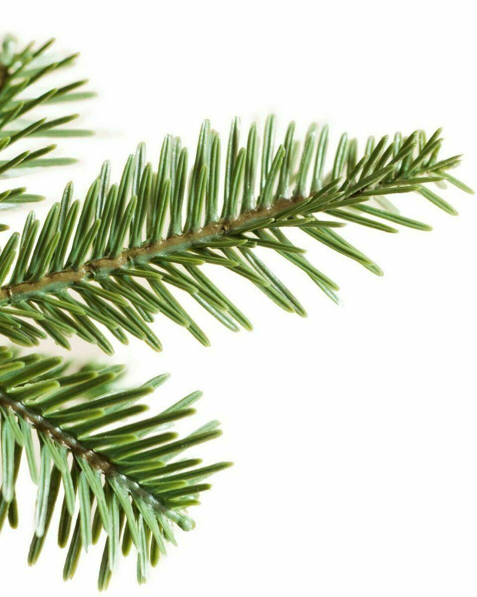 Balsam Hill ARTIFICIAL CHRISTMAS TREES - Alpine Balsam Fir Tree 6.5ft 50% OFF