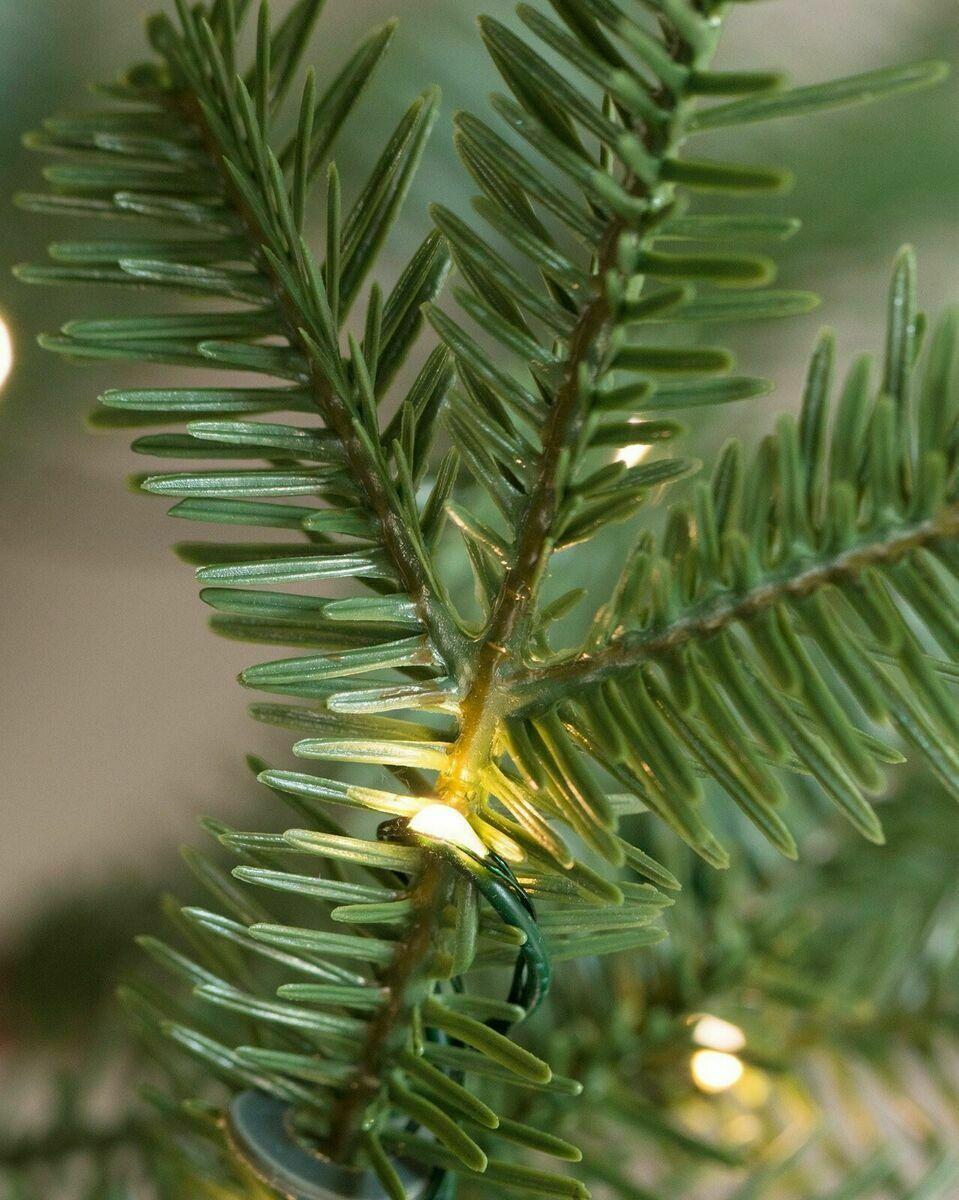 Balsam Hill ARTIFICIAL CHRISTMAS TREES - Alpine Balsam Fir Tree 6.5ft 50% OFF