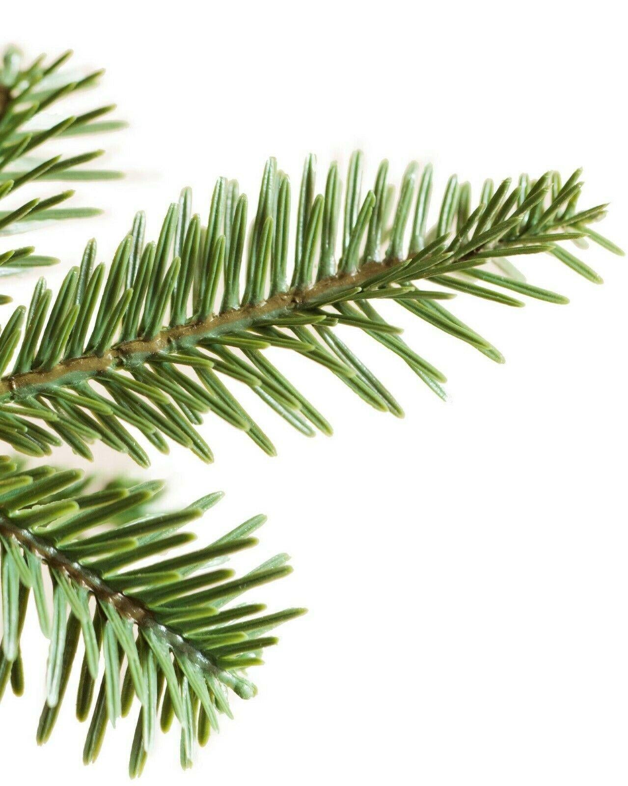 Balsam Hill Alpine Balsam Fir Tree Clear LED Fairy Lights Christmas Decor