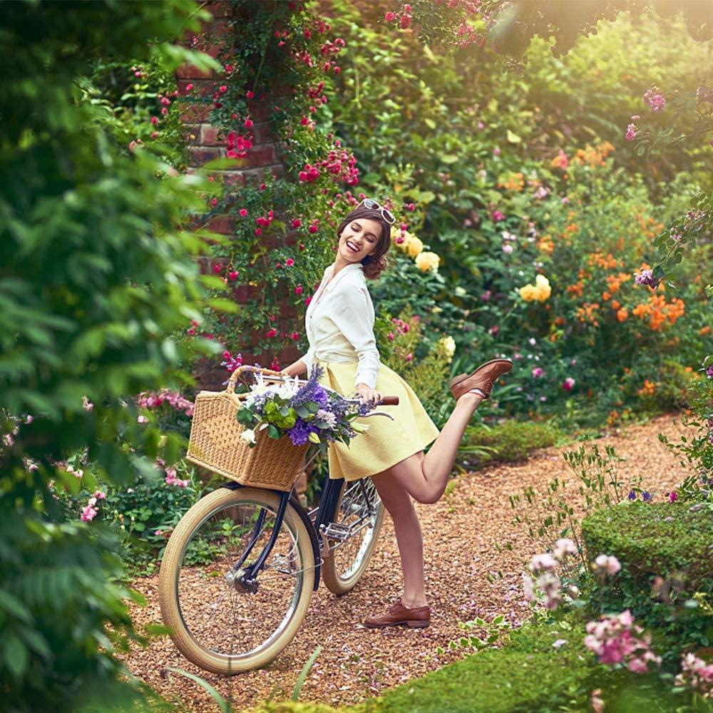TOUNTLETS Womens Beach Cruiser Bike-26 Inch Unisex Classic Iron Bicycle with Basket Retro Bicycle Unique Art Deco Scooter,Road Bike,Seaside Travel Bicycle,Comfortable Commuter Bicycle